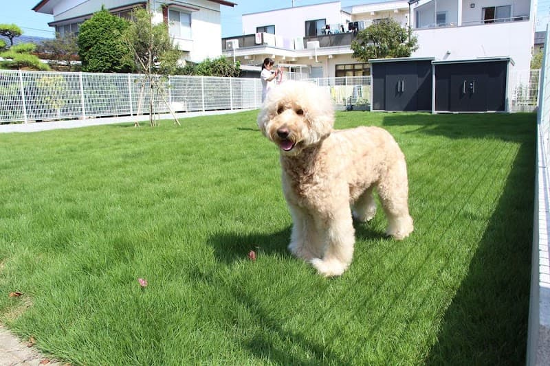 水戸動物病院