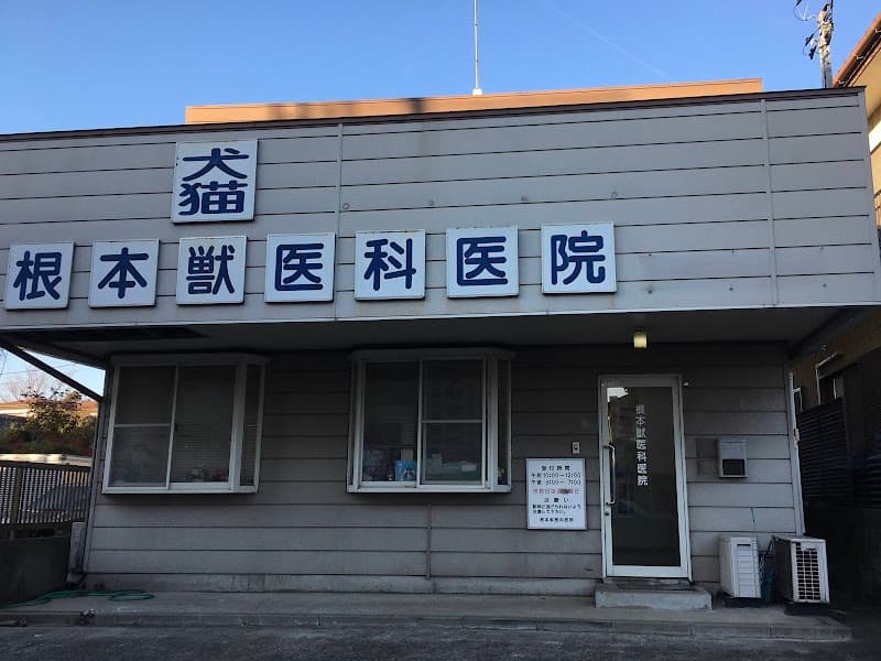 根本獣医科医院