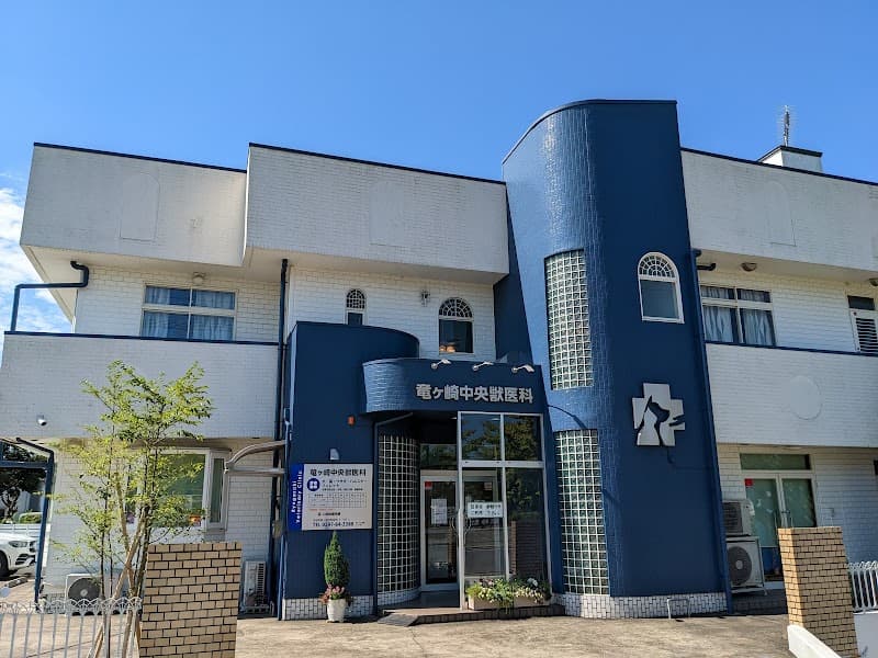 ジョイ診療所(往診専門)