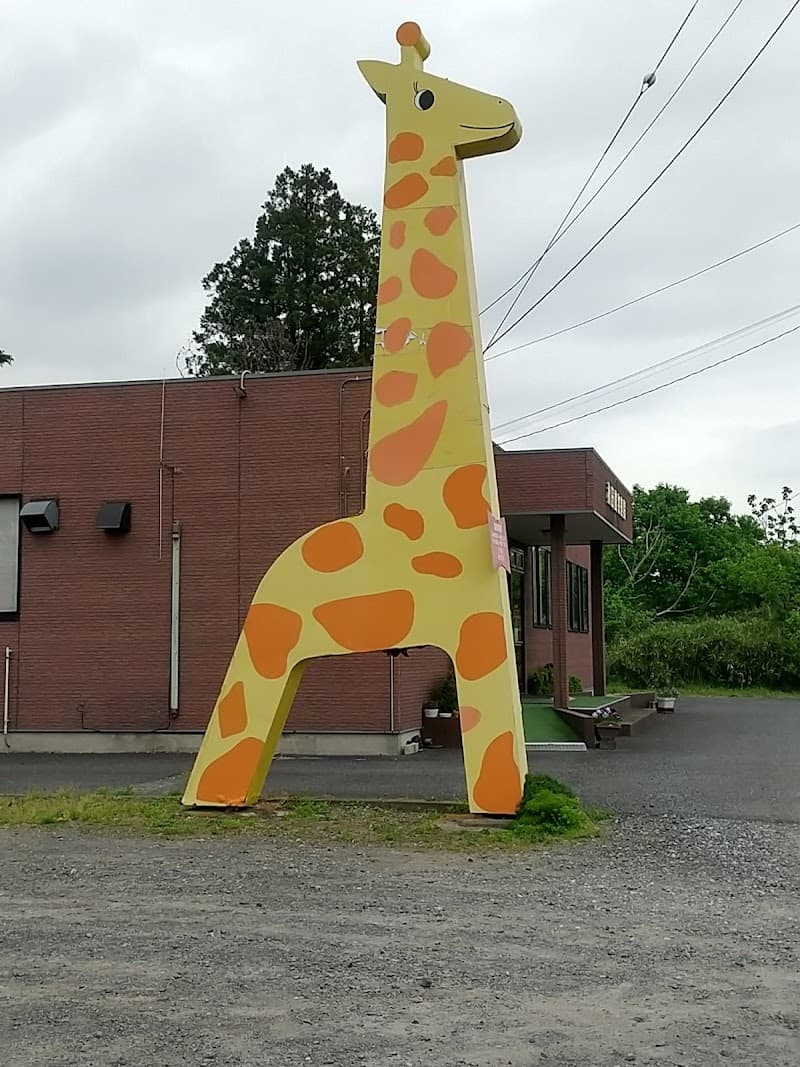 秋田動物病院
