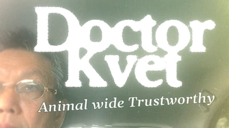 動物病院Doctor Kvet
