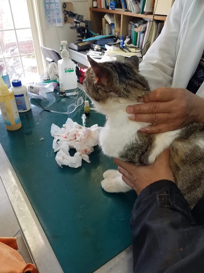 伊奈動物病院