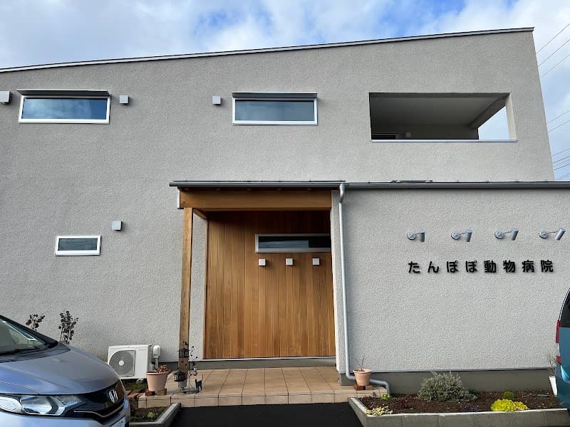 たんぽぽ動物病院