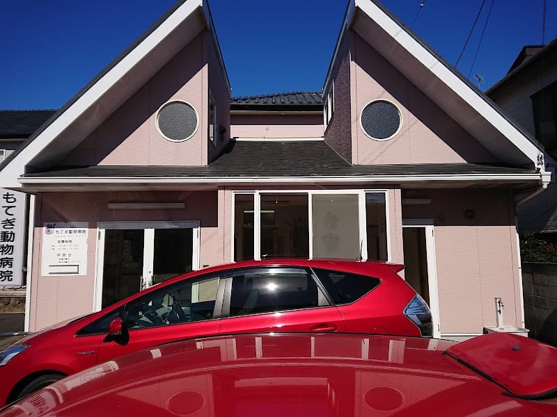 もてぎ動物病院