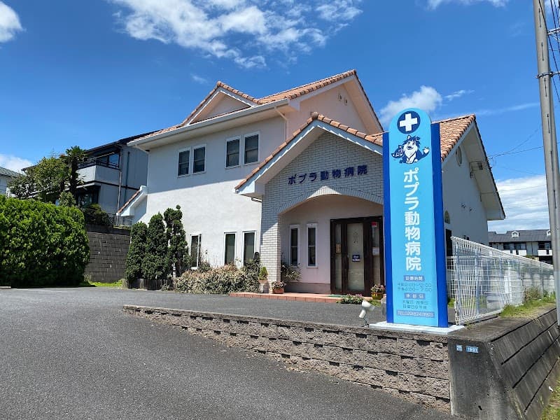 ポプラ動物病院