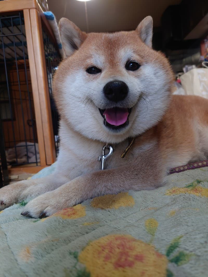 ライフメイト動物病院つくば