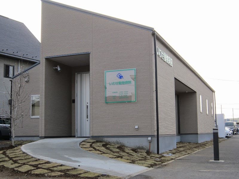 いわせ動物病院