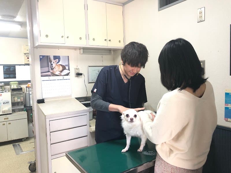 遠藤動物病院