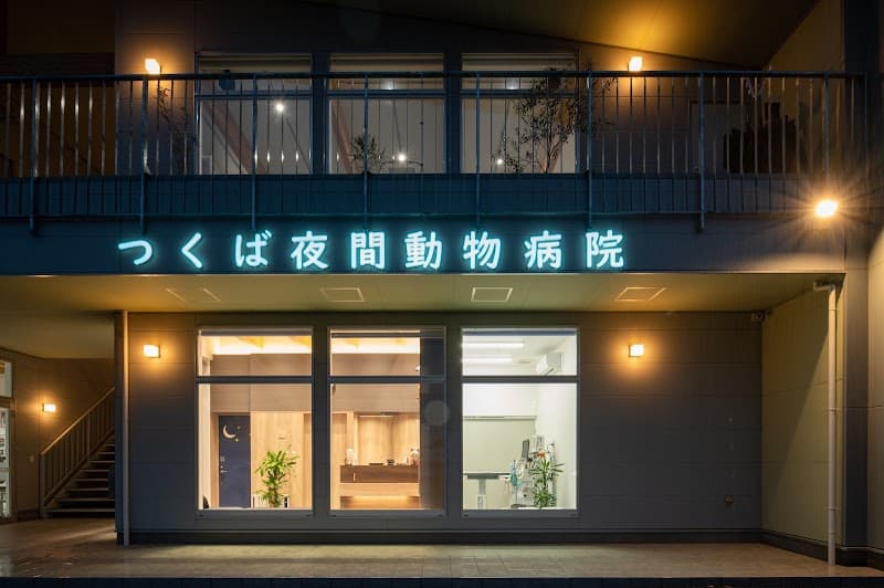 つくば夜間動物病院