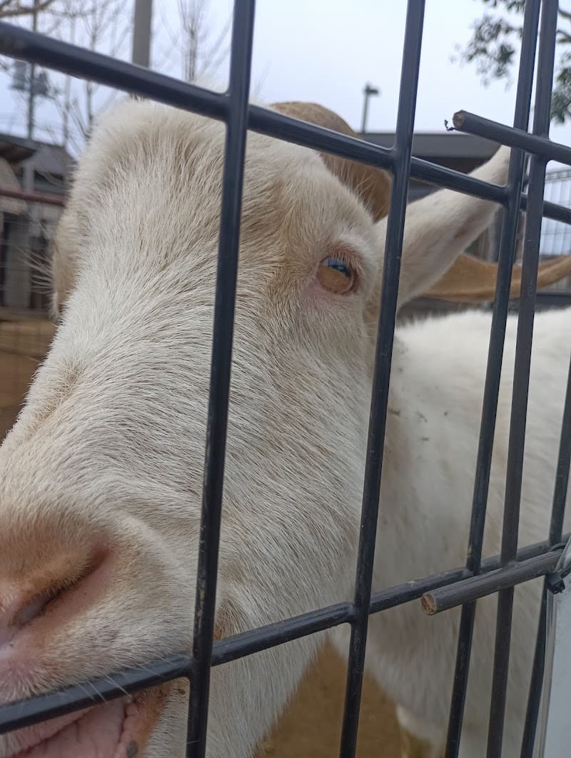 種村獣医科医院