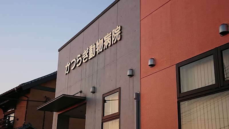 かつらぎ動物病院