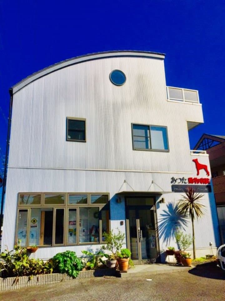 小松崎動物病院