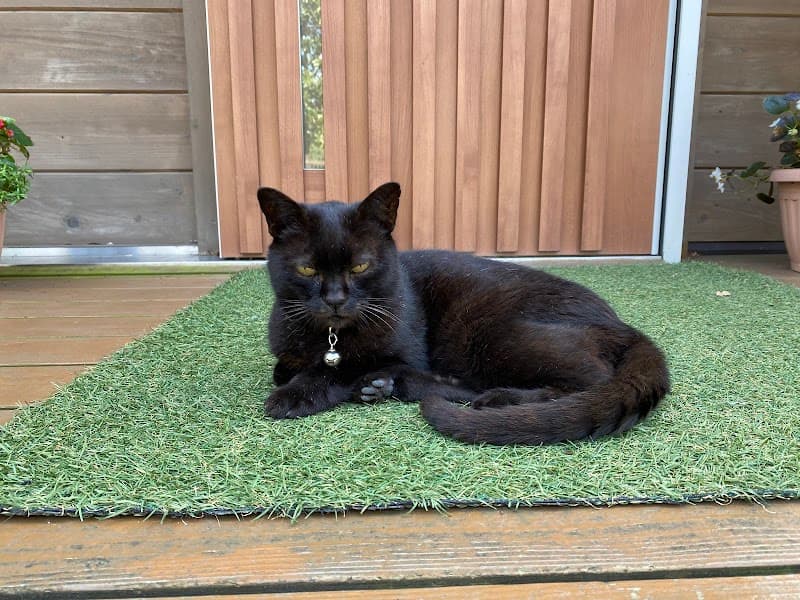 カサマツ動物病院