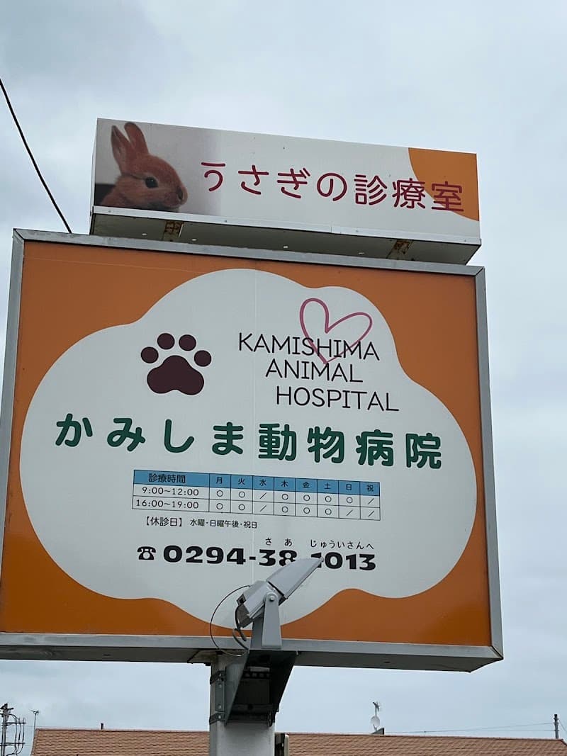 かみしま動物病院