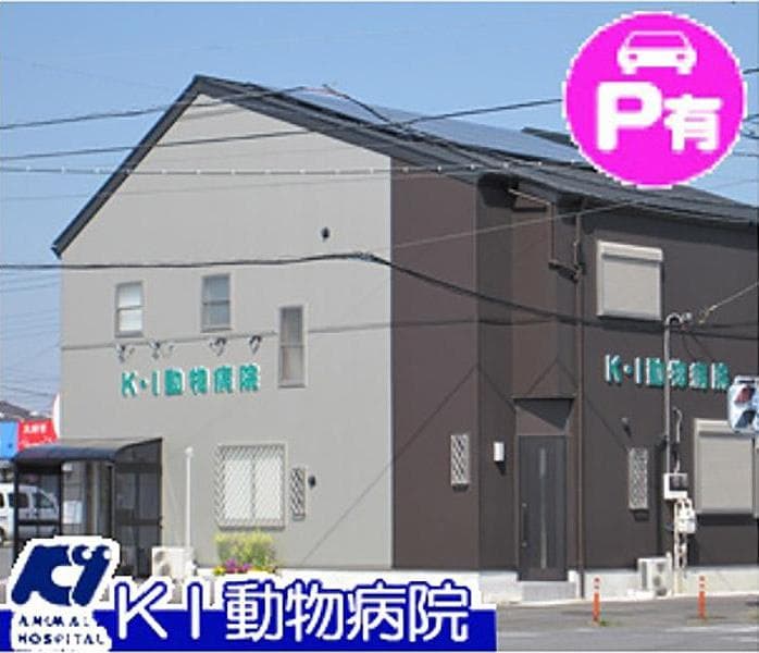 KI動物病院