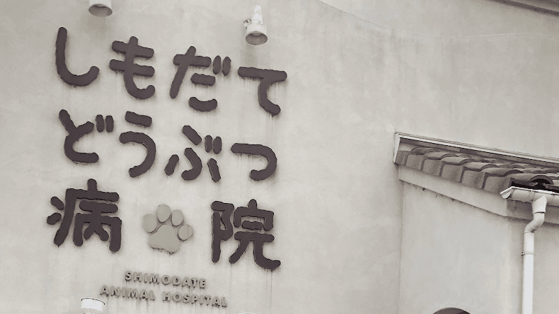 しもだてどうぶつ病院