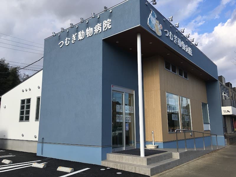 つむぎ動物病院