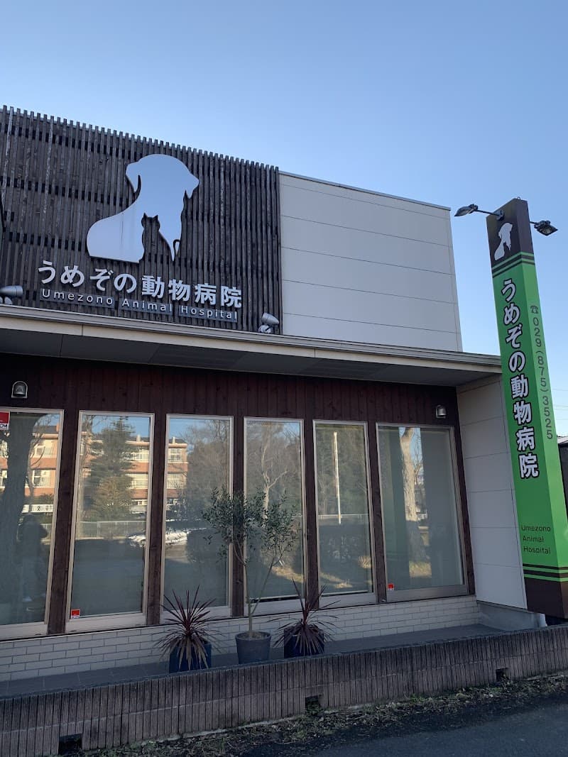 うめぞの動物病院