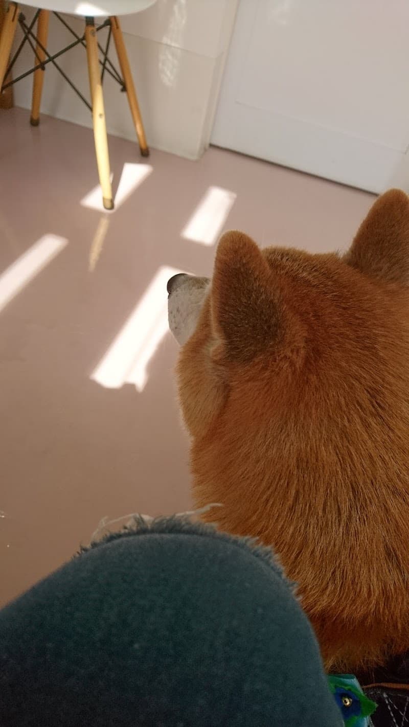 あさひ動物クリニック