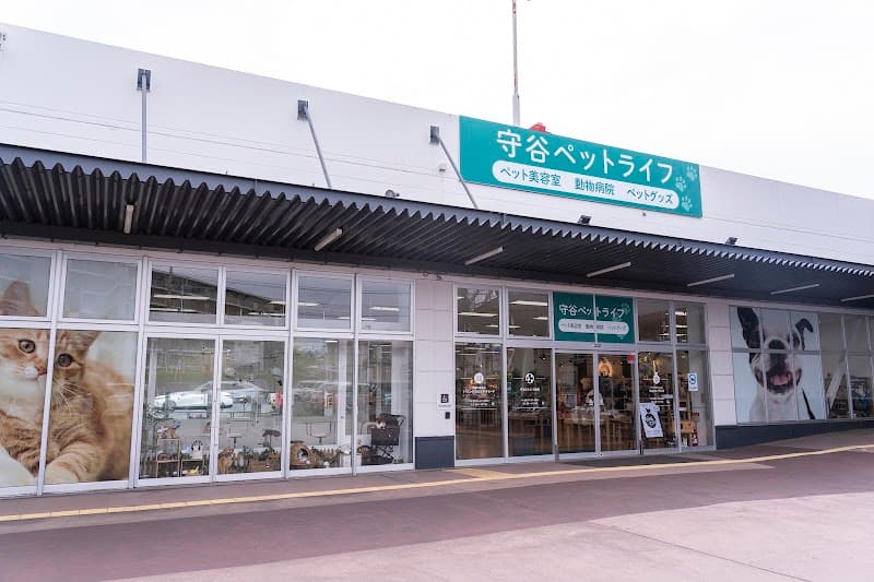 守谷どうぶつ病院