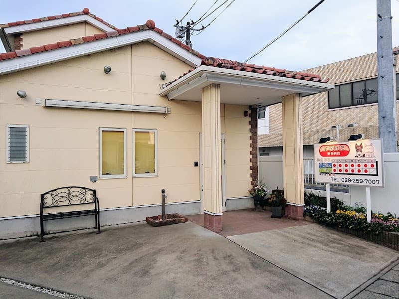 かわまた動物病院