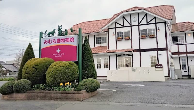みむら動物病院