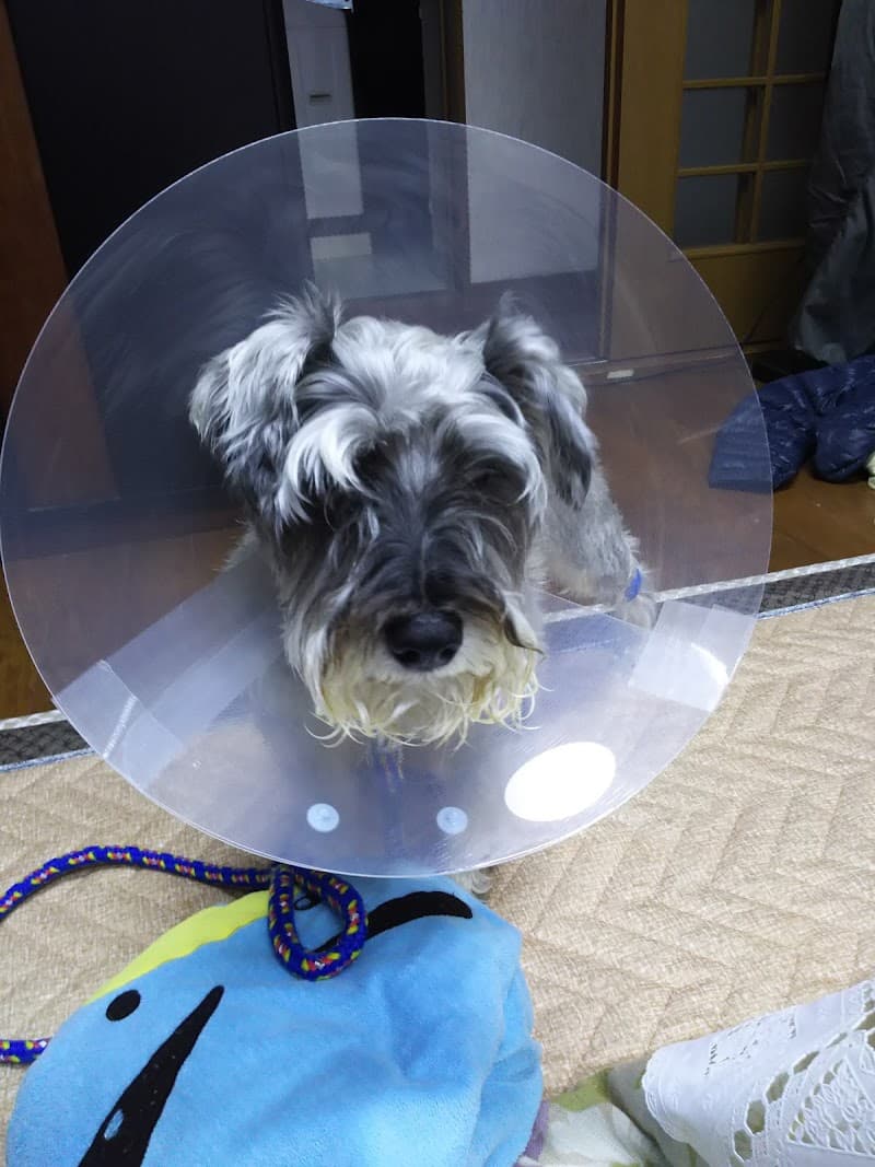 みなみ動物病院