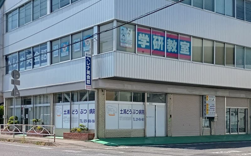 土浦どうぶつ病院