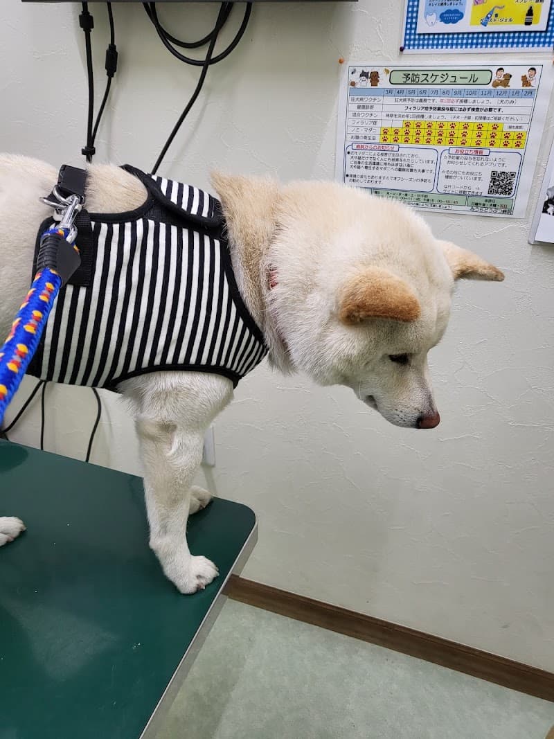 みうらどうぶつ病院