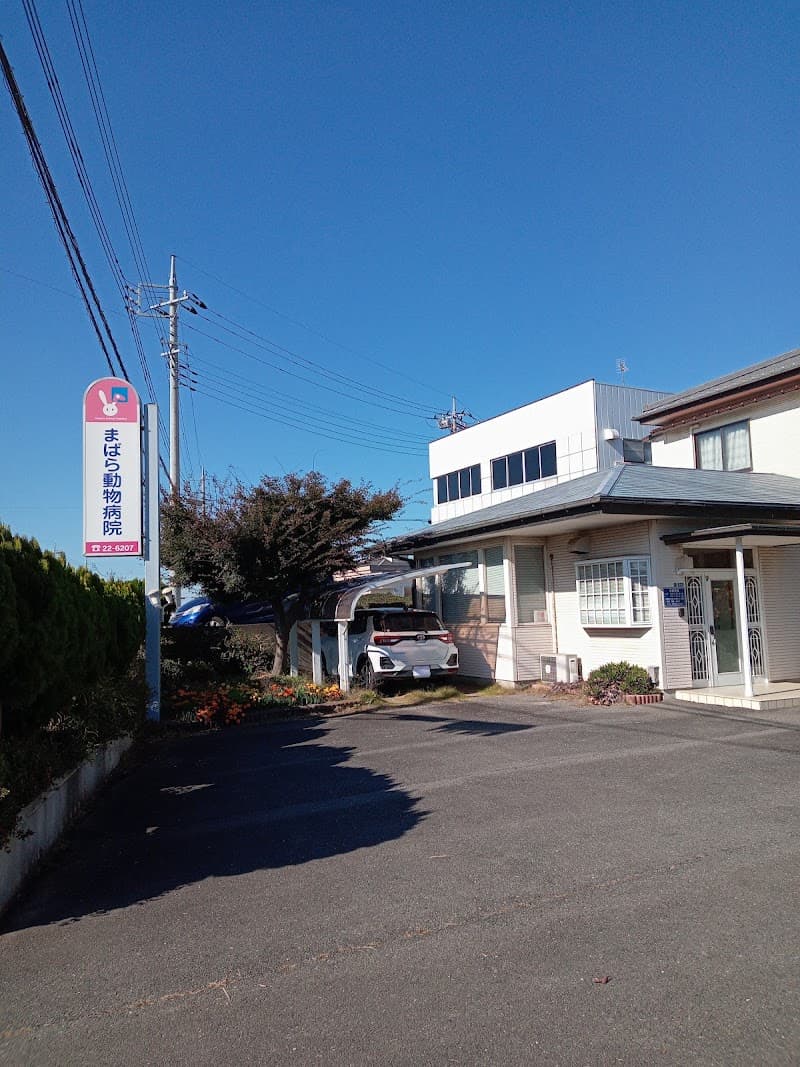 まばら動物病院