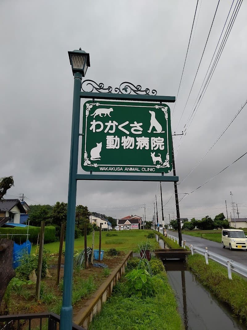 わかくさ動物病院