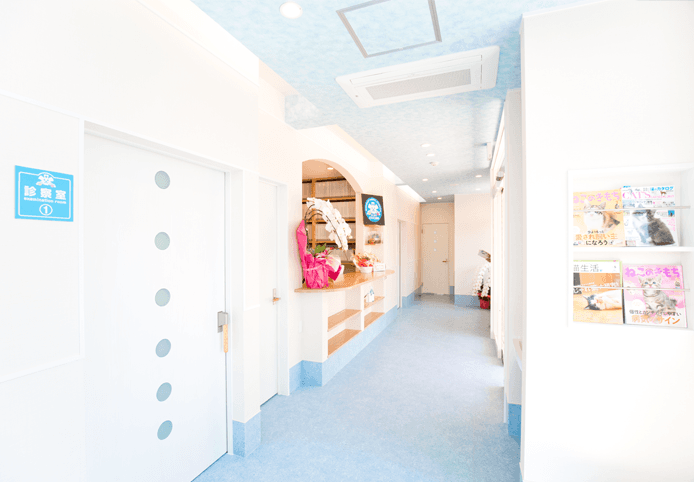 みくまりどうぶつ病院