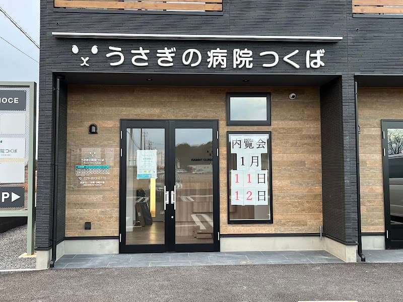 うさぎの病院つくば