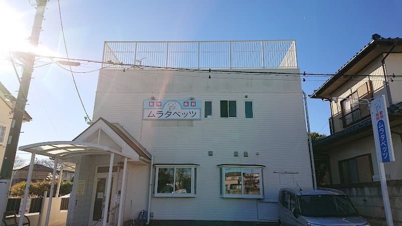 動物病院 ムラタベッツ