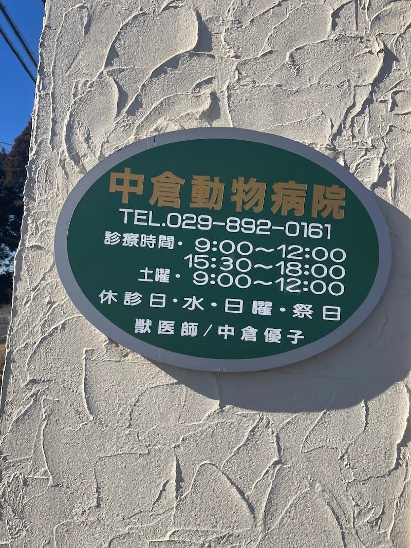 中倉動物病院