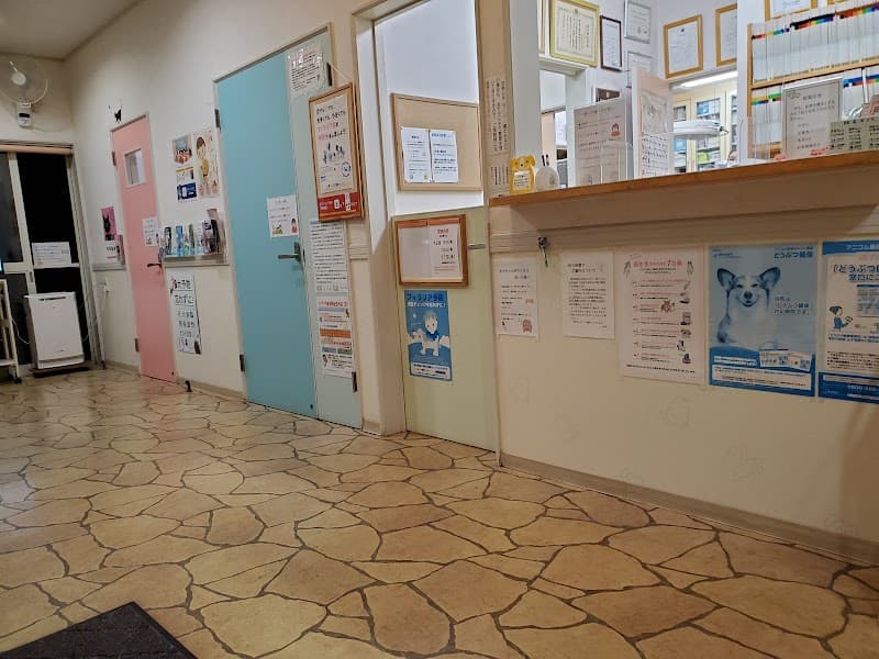 市川どうぶつ病院