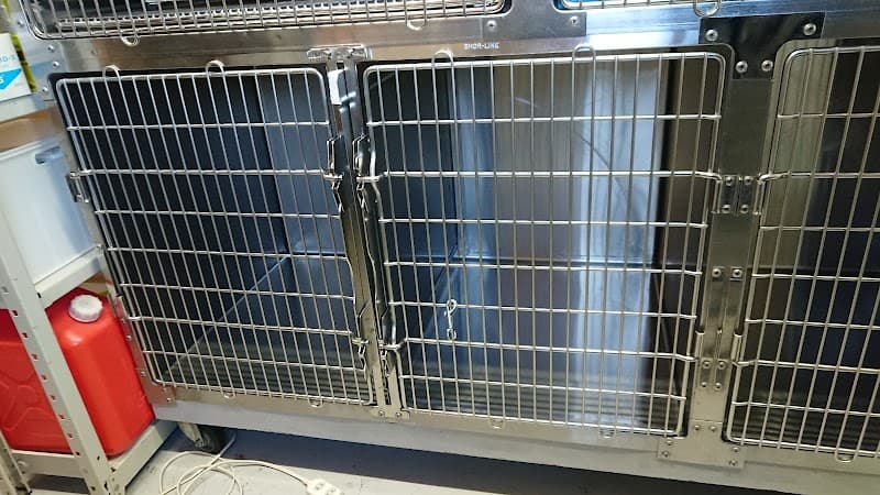 ぬかだ動物病院