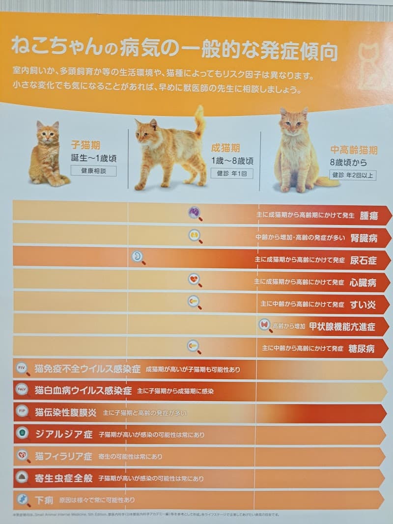 久家動物病院
