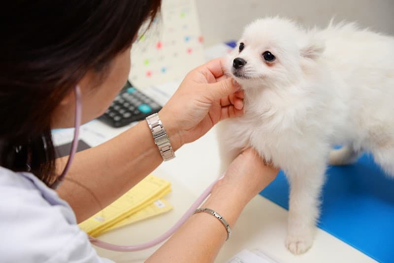 海動物病院 小山往診所