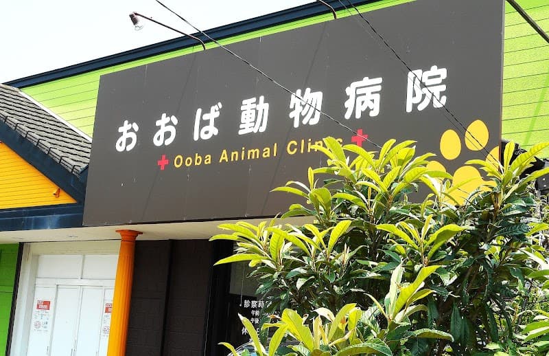 おおば動物病院