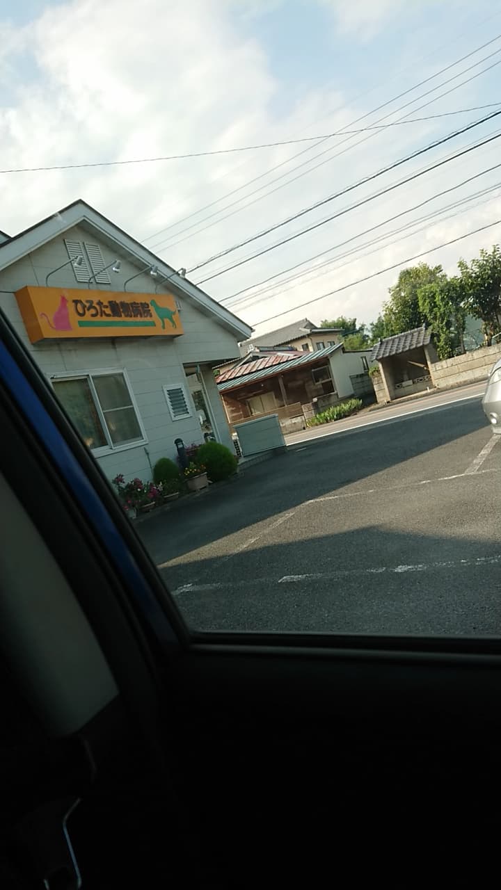ひろた動物病院