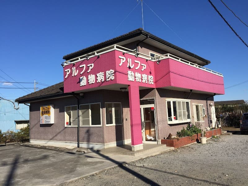 アルファ動物病院