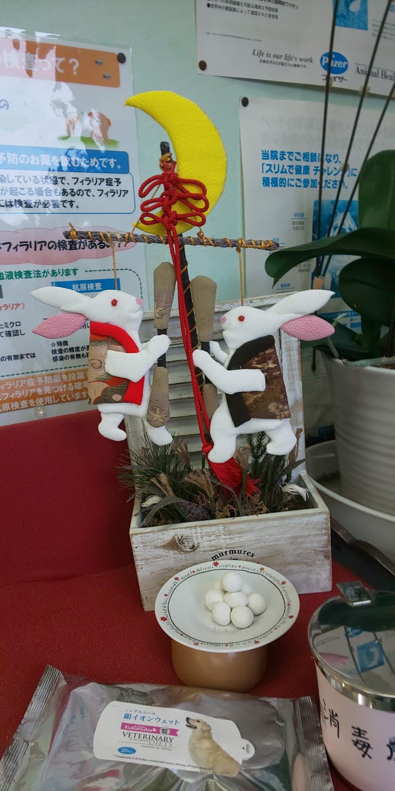 山口動物病院