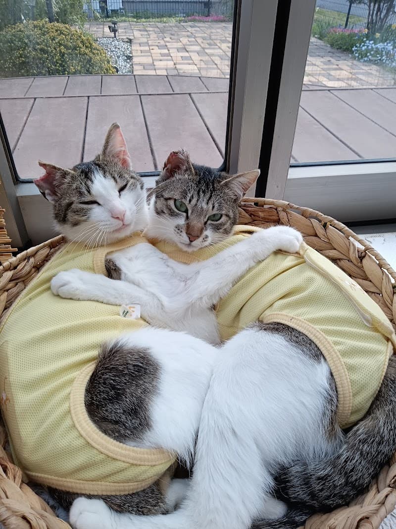 なんま動物病院