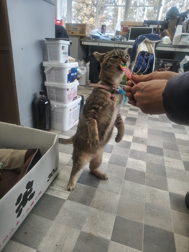 うすば動物病院