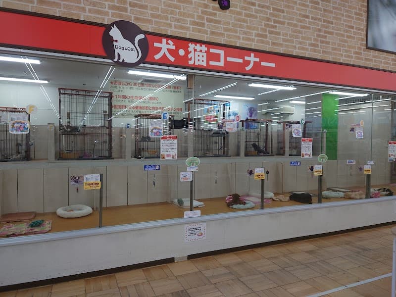 ペット予防医療センター 足利堀込診療所