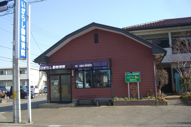 いがらし動物病院