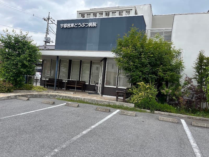 宇都宮東どうぶつ病院