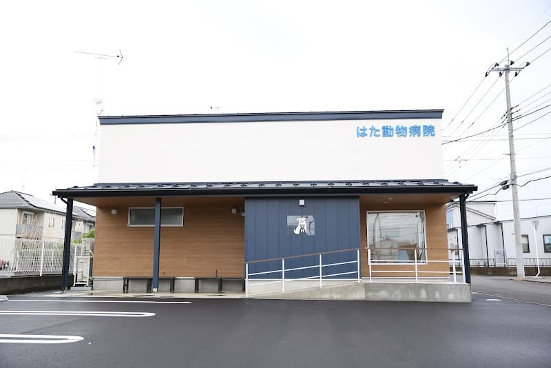 はた動物病院