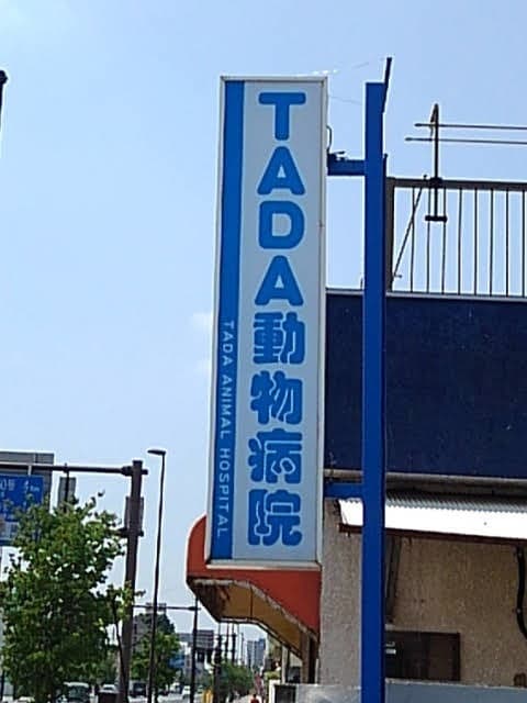 TADA動物病院